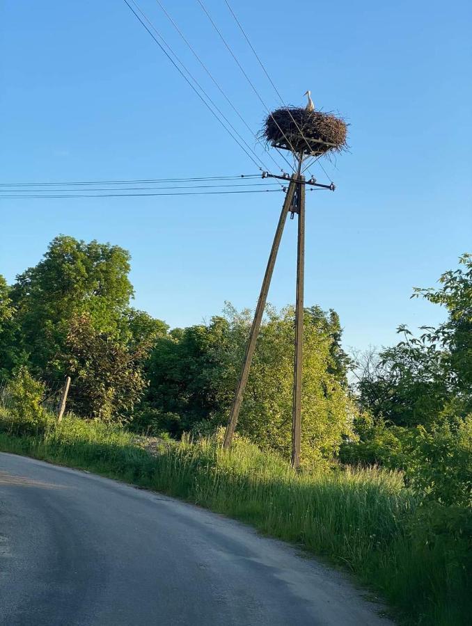 Gospoda Pazibroda Maków Mazowiecki المظهر الخارجي الصورة